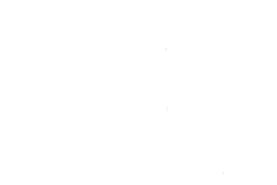 Image 31